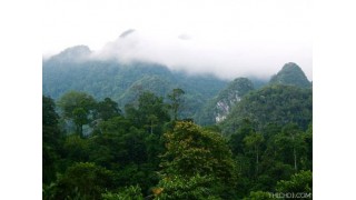 Vườn quốc gia Xuân Sơn nổi tiếng với vẻ đẹp hoang sơ tự nhiên